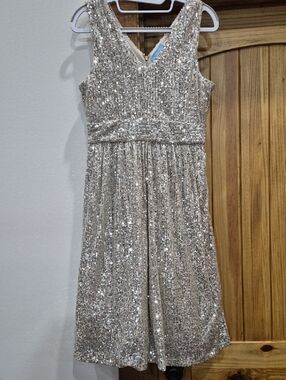 Women's Draper James RSVP Silver Sequined Party Formal Dress Size 8